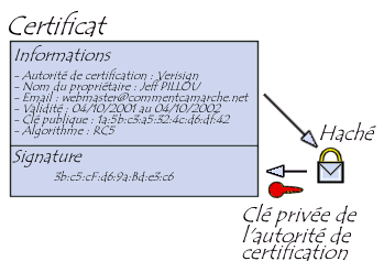Création du certificat