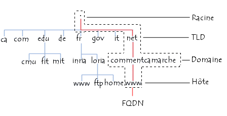 Arborescence du Domain Name System