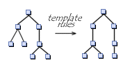 template rules et patterns